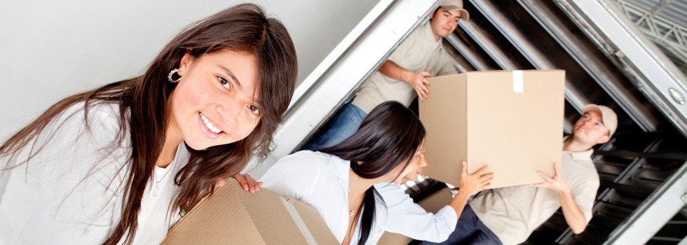 Professional Removalists Haasts Bluff
